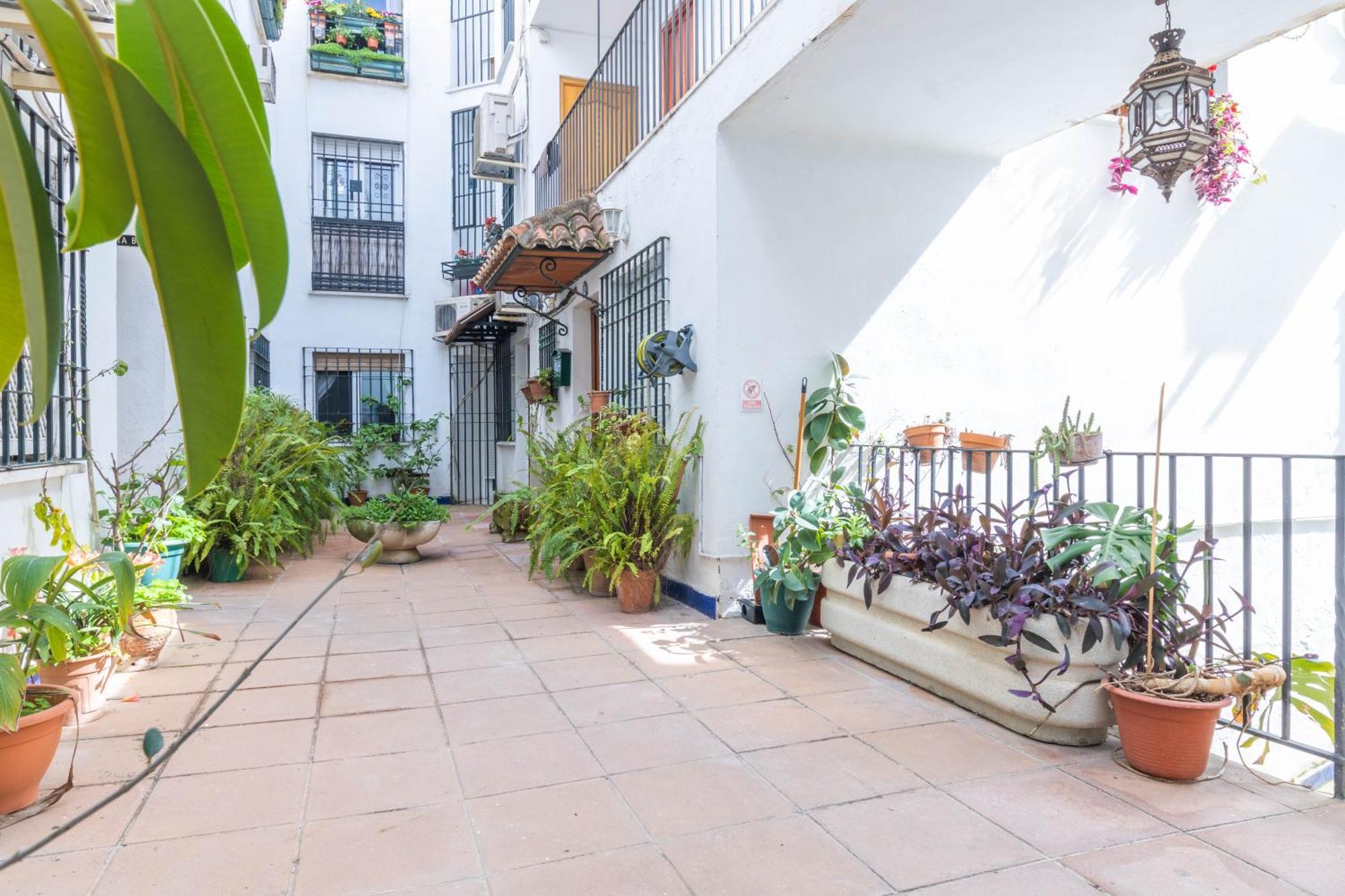 Apartamento Estrella Del Sur قرطبة المظهر الخارجي الصورة
